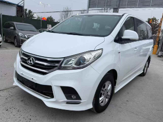 2019年大通G10