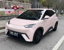 2023年比亚迪海鸥